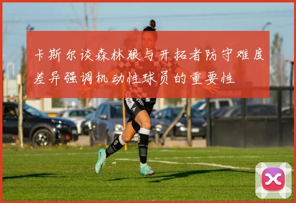 卡斯尔谈森林狼与开拓者防守难度差异强调机动性球员的重要性