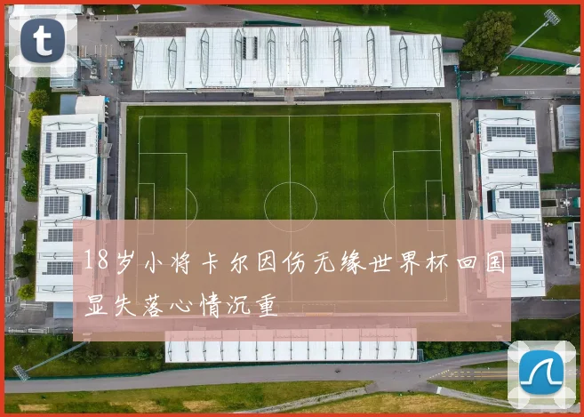 18岁小将卡尔因伤无缘世界杯回国显失落心情沉重